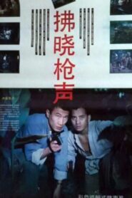 拂晓枪声 1991 on netflix