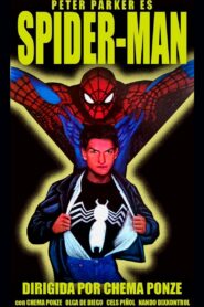 Peter Parker es Spider-Man 1996 on netflix