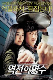 The Twins 2005 on netflix
