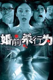 A Wedding or a Funeral 2004 on netflix