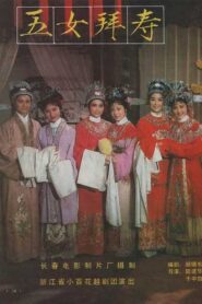 五女拜寿 1984 on netflix