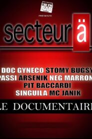 Secteur Ä 2018 on netflix