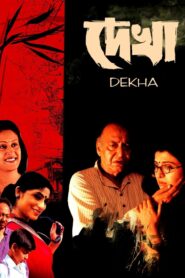 Dekha 2001 on netflix