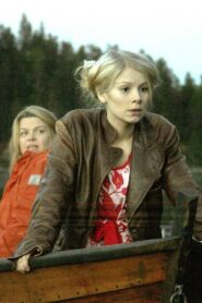 The Lake 2006 on netflix