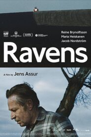 Ravens 2017 on netflix