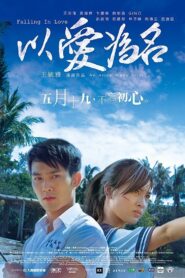Falling in Love 2017 on netflix