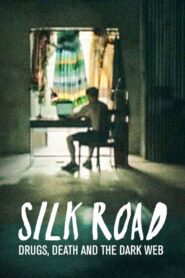 Silk Road: Drugs, Death and the Dark Web 2017 on netflix