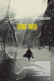 Fading Snow 2020 on netflix