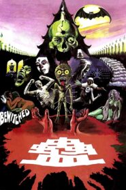 Bewitched 1981 on netflix