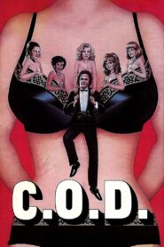 C.O.D. 1981 on netflix