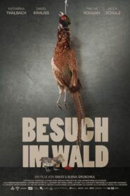 Besuch im Wald 2015 on netflix