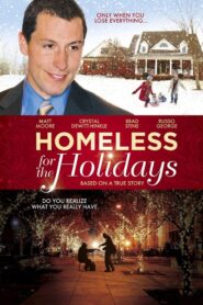 Homeless for the Holidays 2009 on netflix