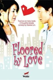 Floored by Love 2005 on netflix