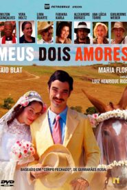 Meus Dois Amores 2015 on netflix