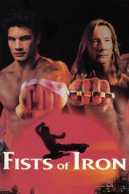 Fists of Iron 1995 on netflix