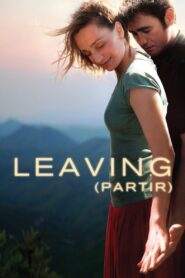 Leaving 2009 on netflix