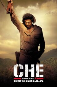 Che: Part Two 2008 on netflix