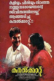 Kanalkkattu 1991 on netflix