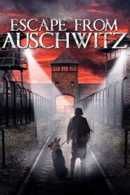 The Escape from Auschwitz 2020 on netflix