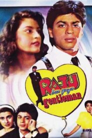 Raju Ban Gaya Gentleman 1992 on netflix
