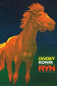 Divoký koník Ryn 1982 on netflix