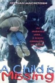 A Child Is Missing 1995 on netflix