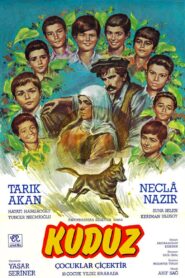 Çoçuklar Çiçektir 1983 on netflix