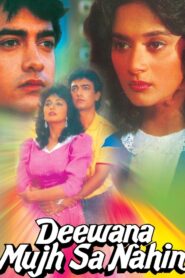 Deewana Mujh Sa Nahin 1990 on netflix