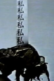 I Have No Myself To Desert 1993 on netflix