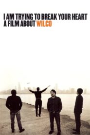 I Am Trying to Break Your Heart: A Film About Wilco 2002 on netflix