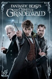 Fantastic Beasts: The Crimes of Grindelwald 2018 on netflix