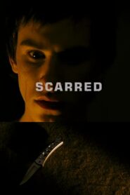 Scarred 2007 on netflix