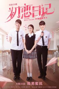 To Love or Not to Love 2017 on netflix