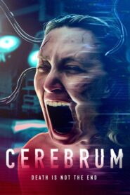Cerebrum 2022 on netflix