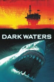 Dark Waters 2003 on netflix