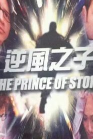 The Prince of Storm 2003 on netflix