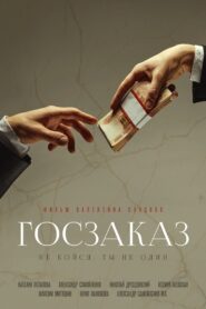 Government Contract 2020 on netflix