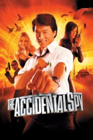The Accidental Spy 2001 on netflix