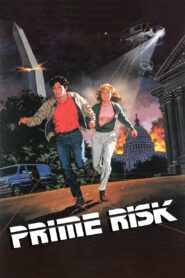 Prime Risk 1985 on netflix