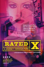 Rated X: A Journey Through Porn 1999 on netflix
