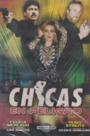 Chicas en peligro 1993 on netflix