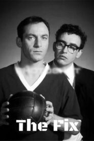 The Fix 1997 on netflix