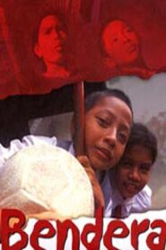 The Flag 2002 on netflix