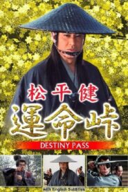 Destiny Pass 1993 on netflix
