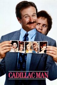 Cadillac Man 1990 on netflix