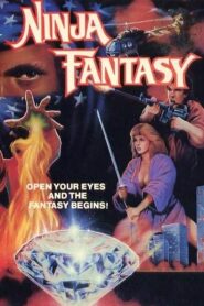 Ninja Fantasy 1986 on netflix
