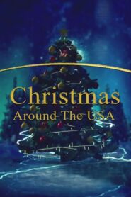 Christmas Around the USA 2022 on netflix