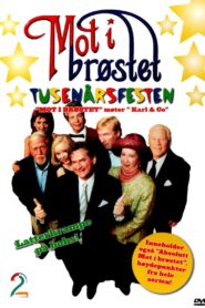 Tusenårsfesten 1999 on netflix
