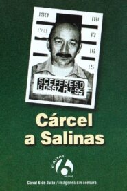 Cárcel a Salinas 1995 on netflix