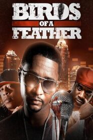 Birds of a Feather 2013 on netflix